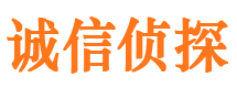 文成诚信私家侦探公司